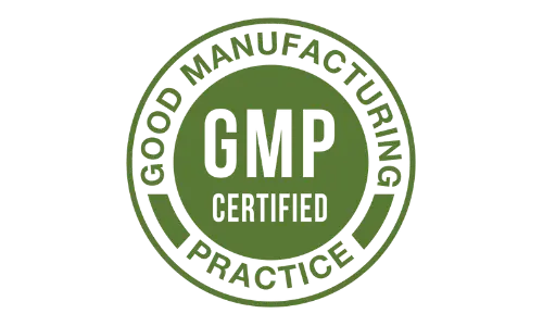 Dentivive GMP Certified